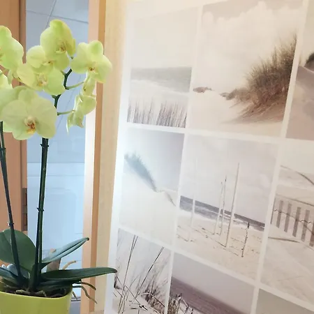 Apartment Im Herzen Der Insel *